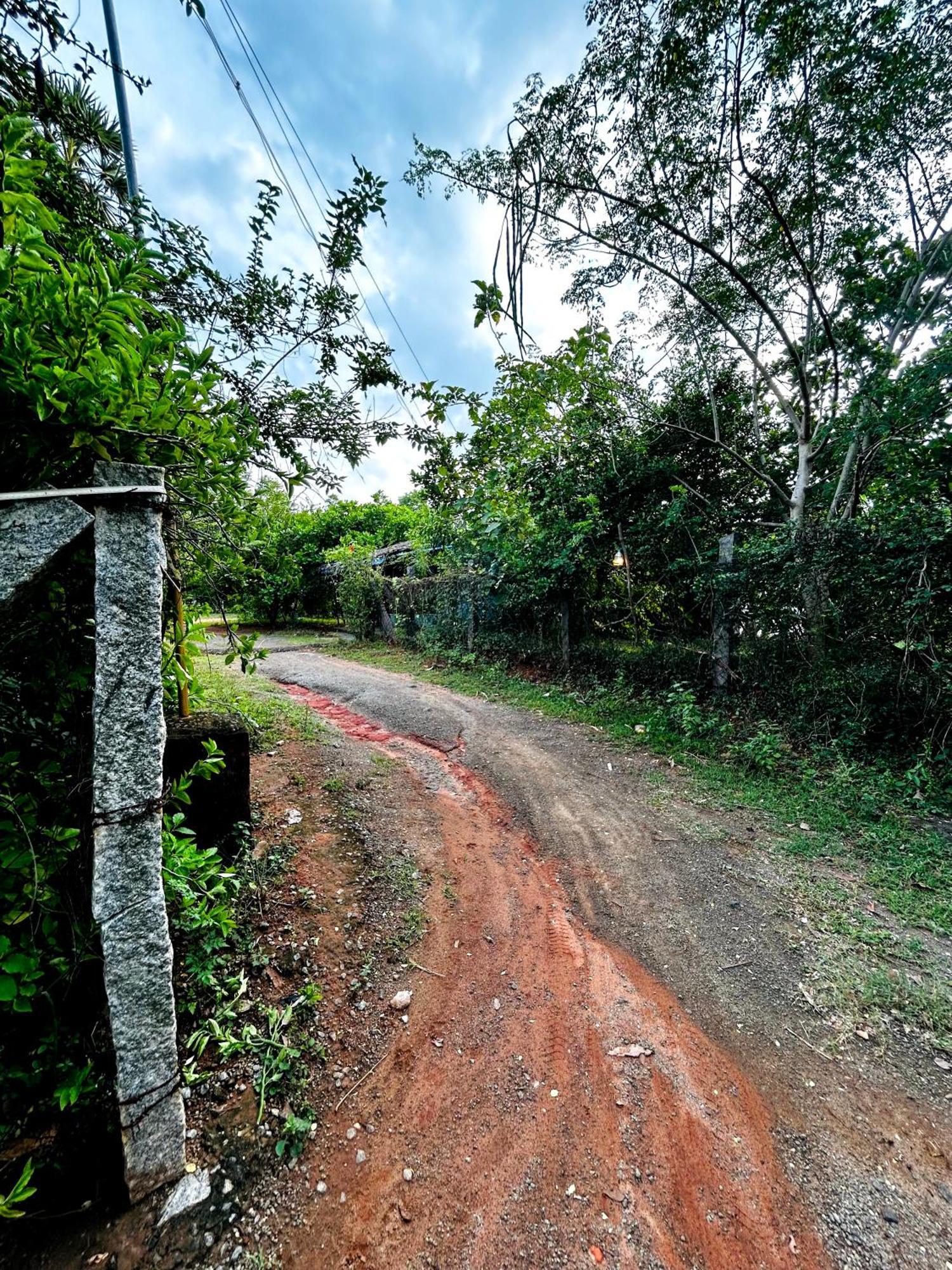 Boomerang Community Auroville Exteriör bild
