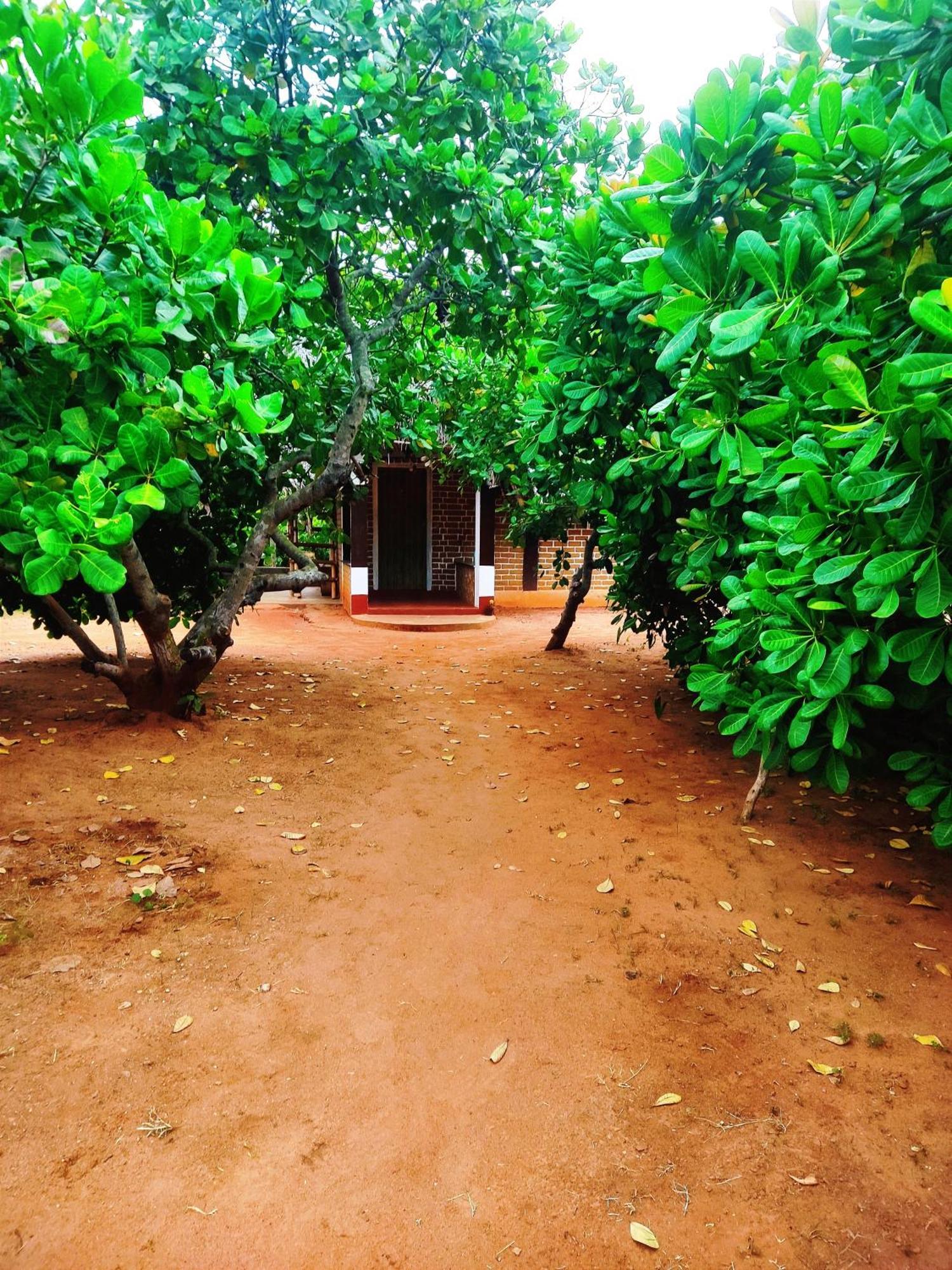 Boomerang Community Auroville Exteriör bild
